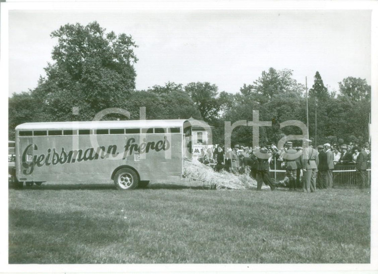 1955 ca SVIZZERA EQUITAZIONE Camion GEISSMANN Frères scarica fieno *Cartolina FG