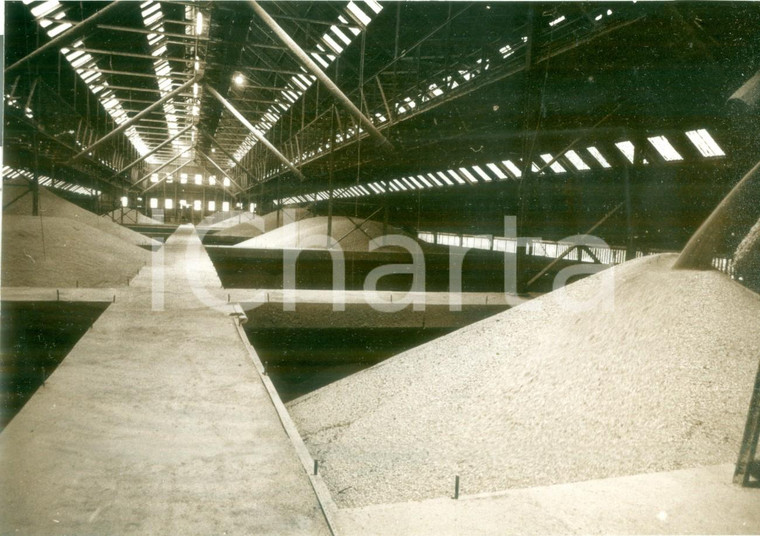 1992 OTTMARSHEIM (FRANCE) I depositi del grano *Fotografia