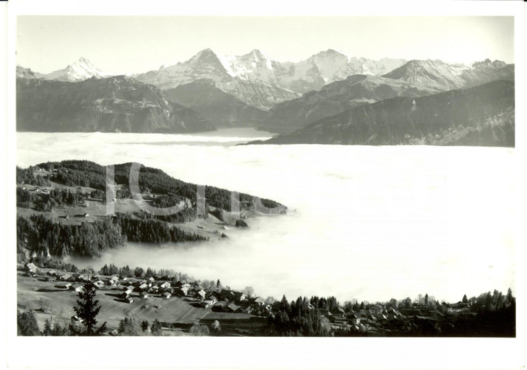 1980 ca BEATENBERG (CH) Monti EIGER MONCH JUNGFRAU svettano sopra le nubi *Foto