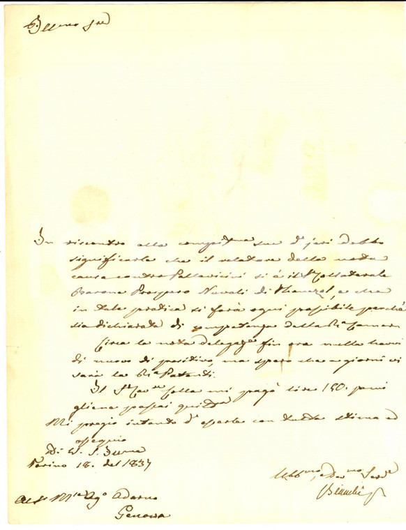 1837 TORINO Prospero NUVOLI di THENESOL relatore su lite ADORNO - PALLAVICINI