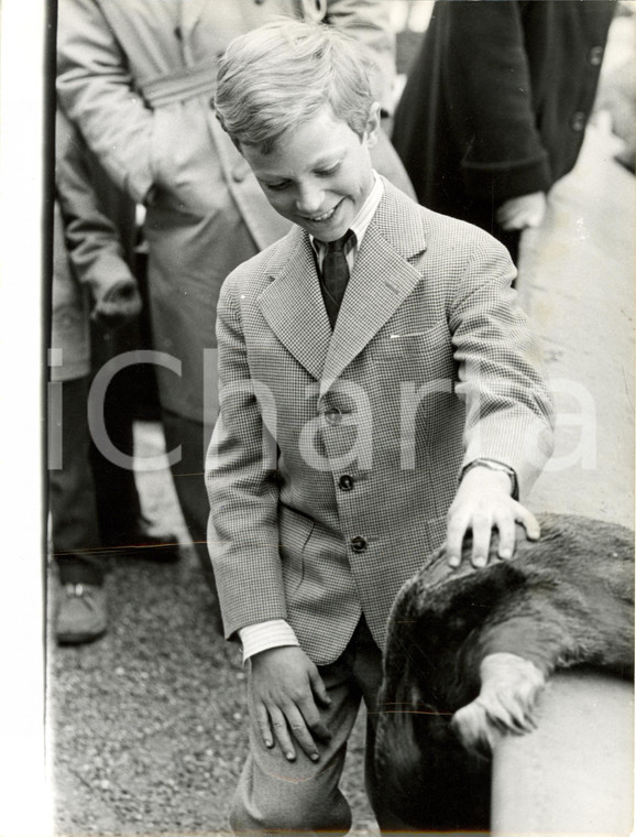1958 STOCCOLMA Carlo Gustavo SVEZIA accarezza animale zoo di SKANSEN *Fotografia