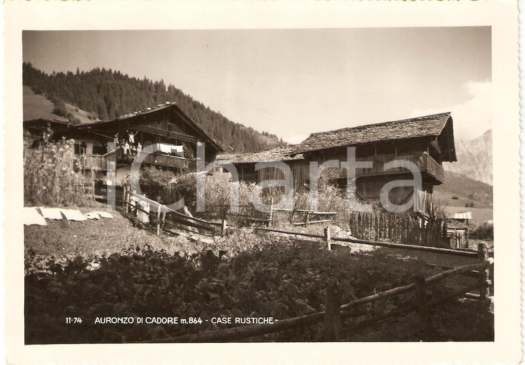 1950 AURONZO DI CADORE (BL) Case rustiche ANIMATA Panorama *Cartolina FG VG