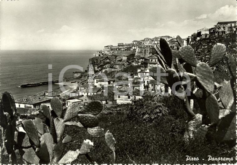 1960 ca PIZZO CALABRO (VV) Scorcio panoramico sul mare *Cartolina FG VG