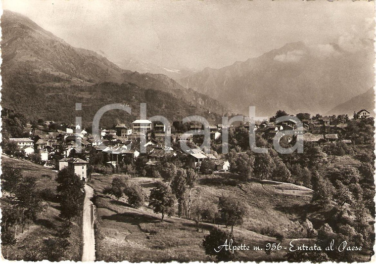 1951 ALPETTE (TO) Entrata al paese Panorama *Cartolina FG VG