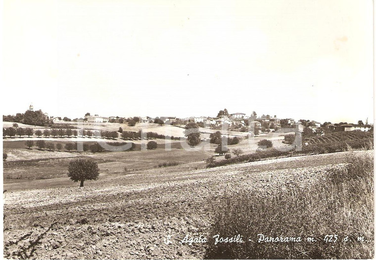 1967 SANT'AGATA FOSSILI (AL) Panorama con vista del paese *Cartolina FG VG