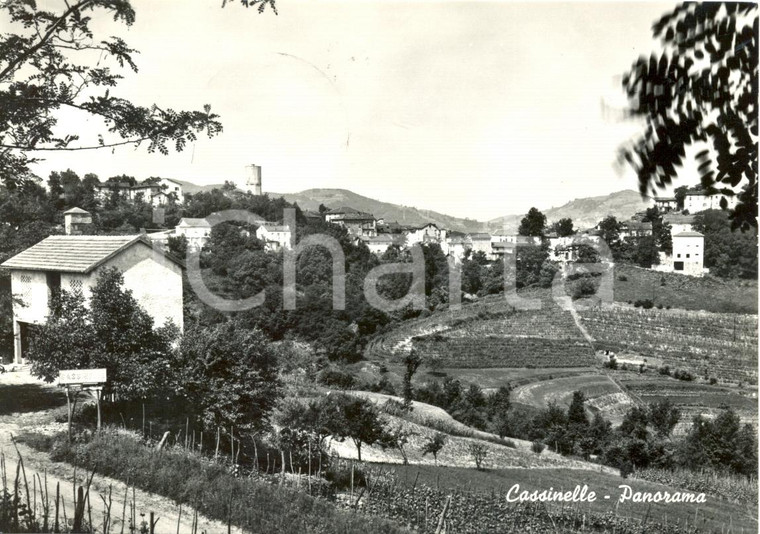 1961 CASSINELLE (AL) Panorama generale del paese e TORRE IDRICA *Cartolina FG VG