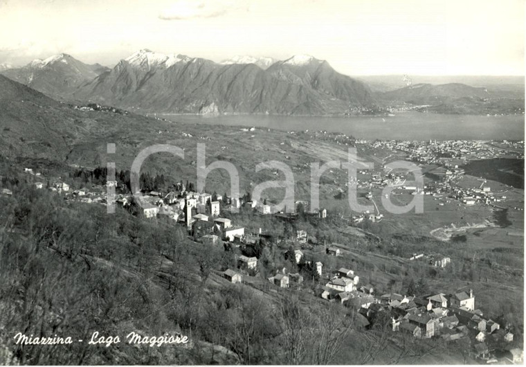 1958 MIAZZINA (VB) Veduta panoramica - LAGO MAGGIORE *Cartolina postale FG VG