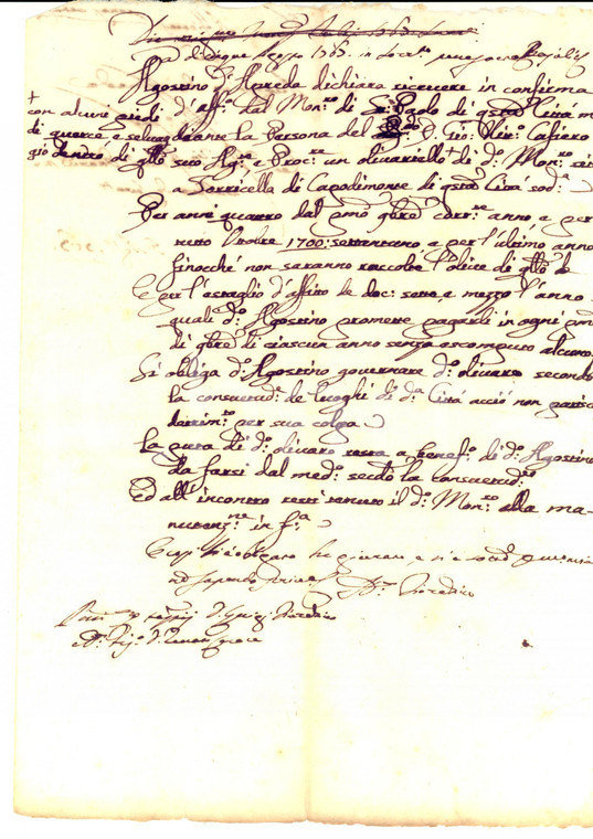 1767 SORRENTO (NA) Monastero SAN PAOLO affitta olivariello ad Agostino D'APREDA
