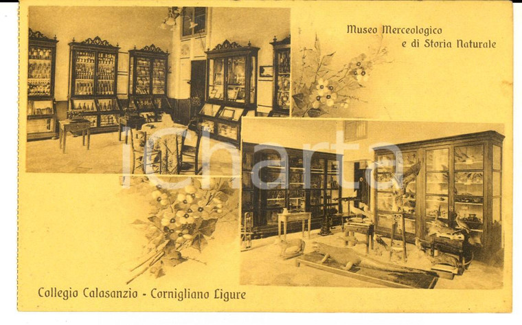 1930 ca GENOVA CORNIGLIANO Collegio CALASANZIO Museo storia naturale *Cartolina