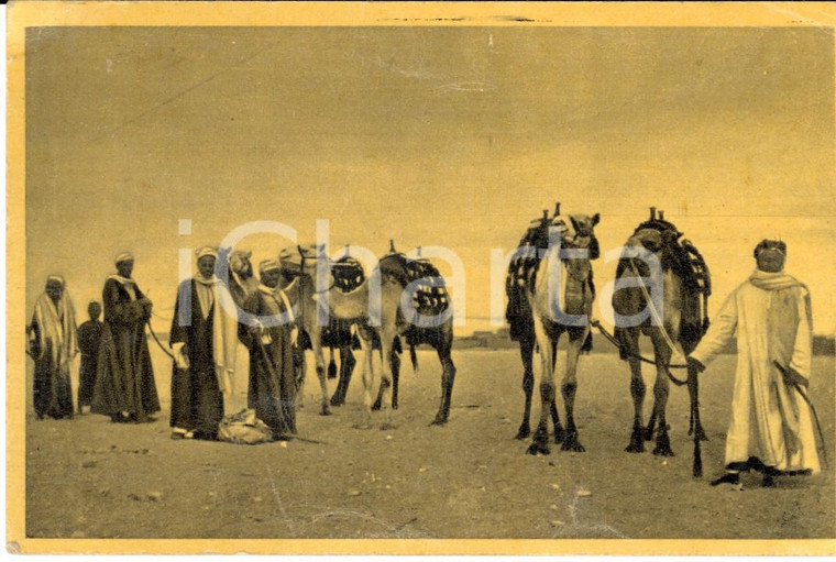 1940 ca EGYPT Group of natives with their camels *VINTAGE postcard FP