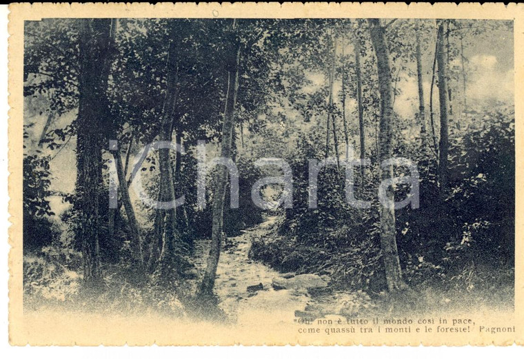 1916 MONTAGNA Oh, non è tutto mondo così in pace *Cartolina postale FP VG