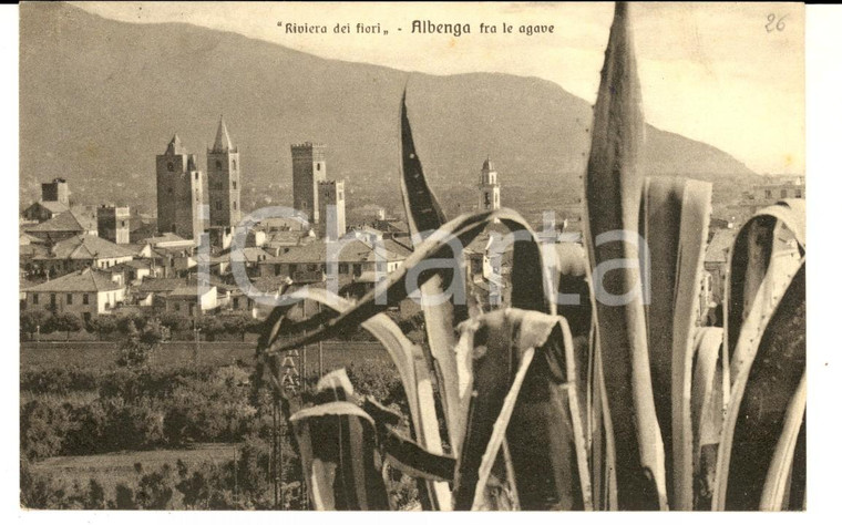 1954 ALBENGA (SV) Panorama tra le agave - RIVIERA DEI FIORI *Cartolina FP VG