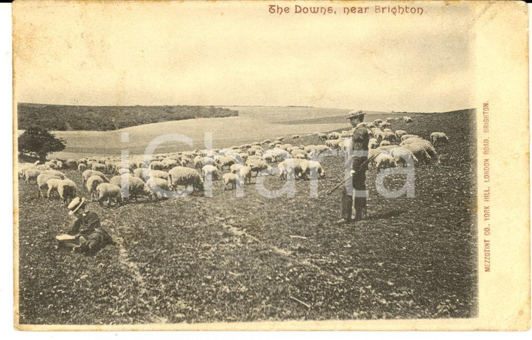 1904 BRIGHTON (UK) The Downs *Cartolina postale VINTAGE ANIMATA FP VG