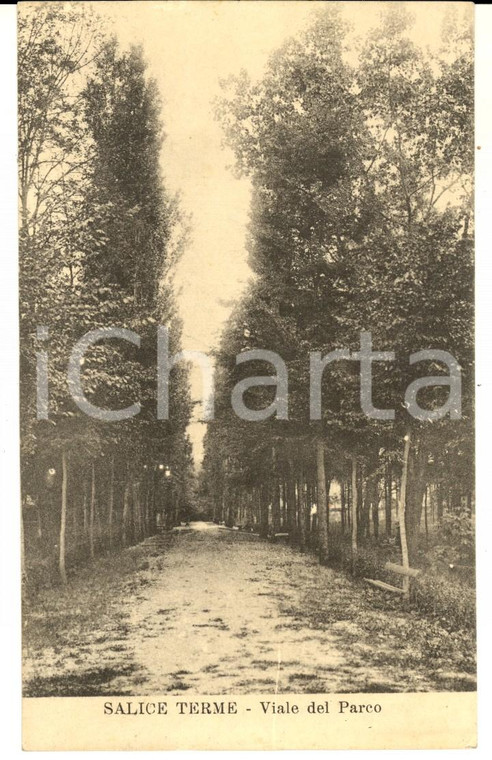 1913 SALICE TERME (PV) Veduta del VIALE DEL PARCO *Cartolina postale FP VG