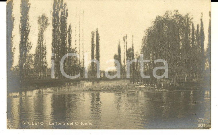 1911 SPOLETO (PG) Veduta delle fonti del CLITUNNO *Cartolina postale FP VG