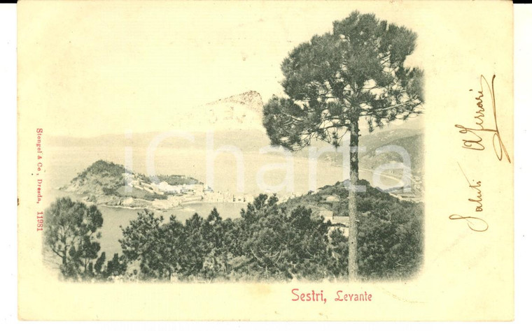 1900 SESTRI LEVANTE (GE) Panorama dall'alto *Cartolina VINTAGE FP VG