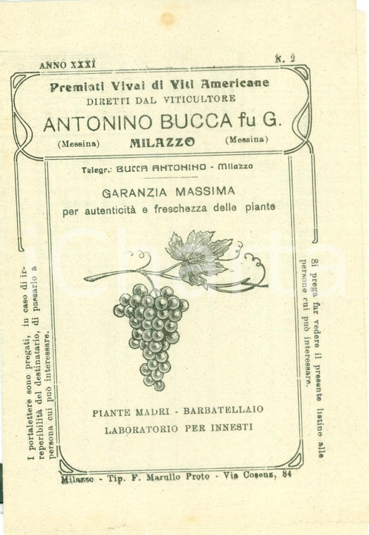 1930 MILAZZO (ME) Antonino BUCCA Premiati Vivai Viti Americane *Listino prezzi