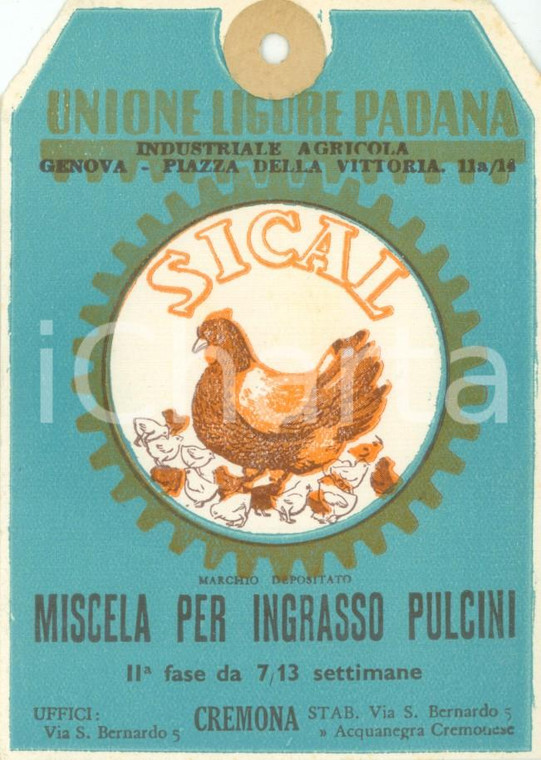 1950 ca GENOVA Unione Ligure Padana Etichetta SICAL Miscela per pulcini