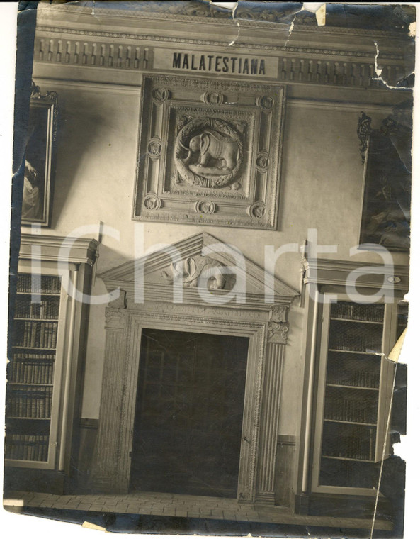 1930 ca CESENA Biblioteca MALATESTIANA Portale con fregi *Foto DANNEGGIATA 17x23