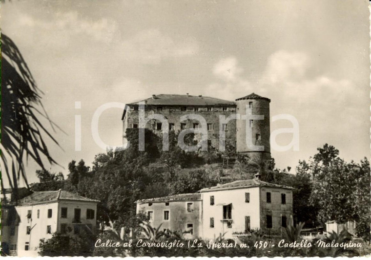 1954 CALICE AL CORNOVIGLIO (SP) Il castello MALASPINA *Cartolina postale FG VG