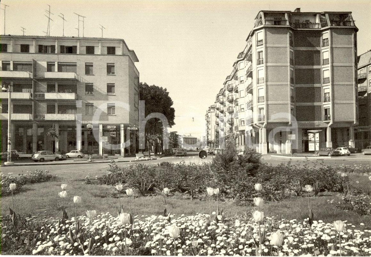 1960 ca REGGIO EMILIA Viale IV novembre con auto e insegna MOTTA Cartolina FG NV