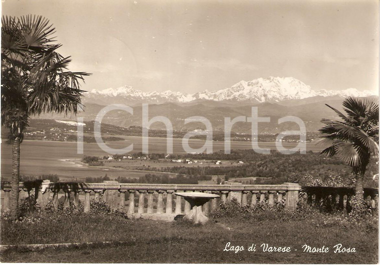 1952 VARESE Panorama con il lago e il Monte ROSA *Cartolina postale FG VG