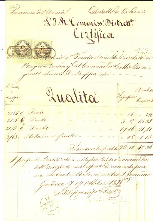 1856 COLLIO (BS) Prati e stalla con fienile di Antonio RAMBALDINI *Documento