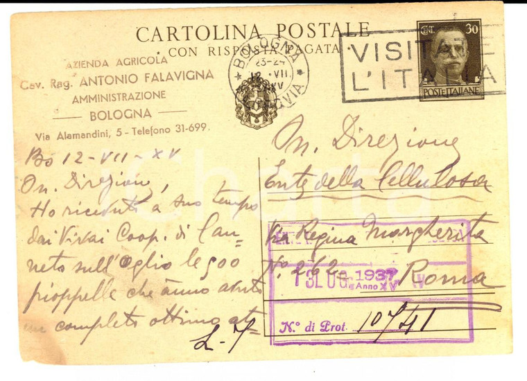 1932 BOLOGNA Azienda agricola Antonio FALAVIGNA su pioppelle *Cartolina