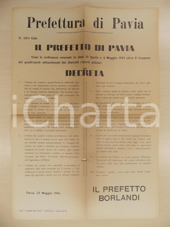 1945 GOVERNO MILITARE ALLEATO Recupero quadrupedi abbandonati dai reparti