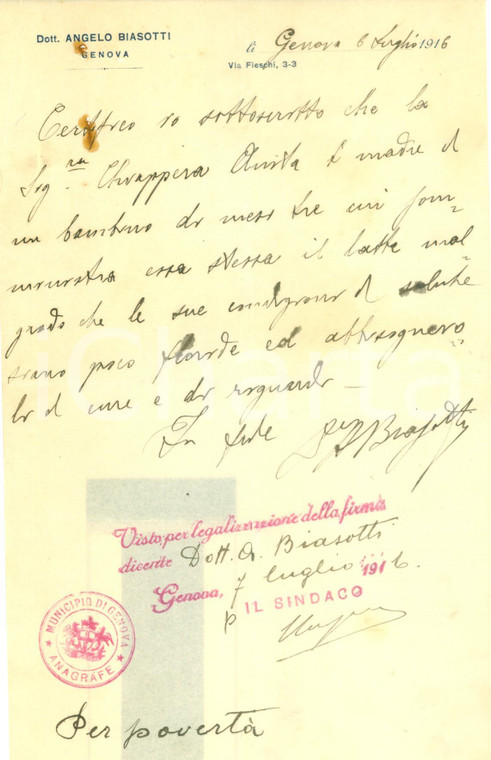 1916 GENOVA Medico Angelo BIASOTTI *Certificato medico manoscritto
