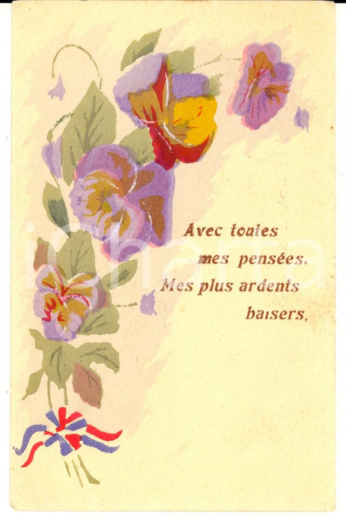 1910 ca FRANCE Cartolina augurale con ramo di fiori viola *ACQUERELLATA