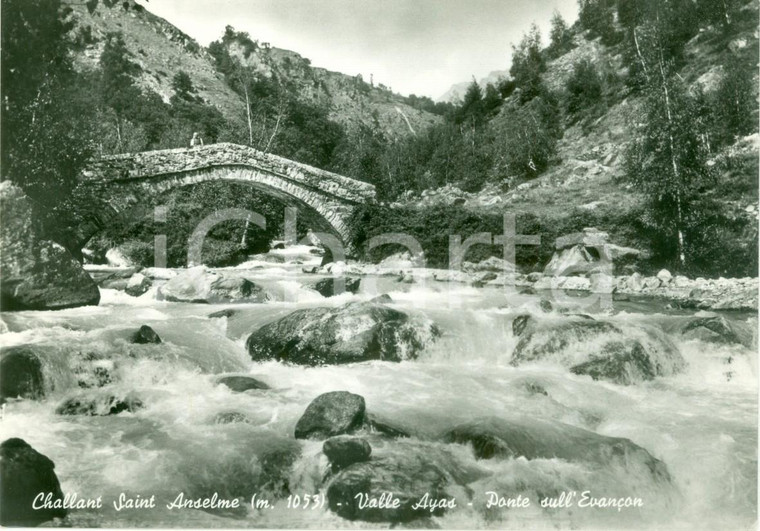 1958 CHALLAND-SAINT-ANSELME (AO) Ponte sull'Evançon in Valle AYAS *Cartolina FG