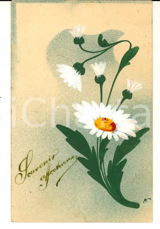 1906 FRANCIA Cartolina augurale con margherite *DIPINTA A MANO
