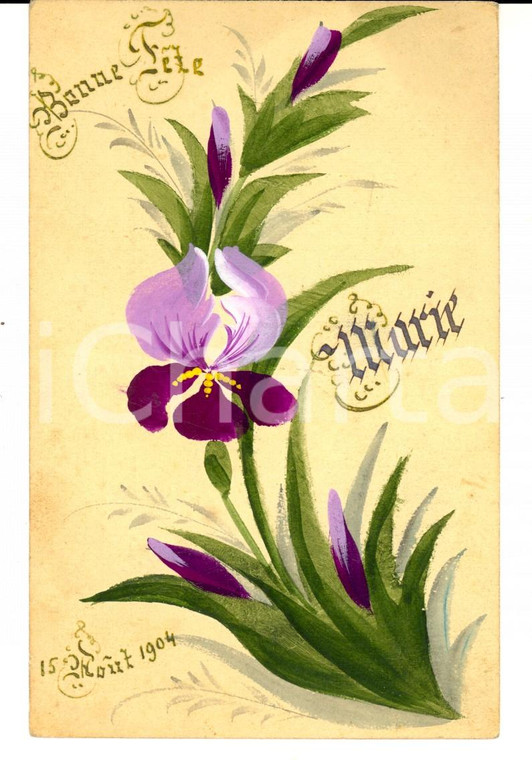 1904 FRANCE Cartolina augurale compleanno con violetta *DIPINTA A MANO