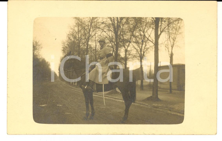 1915 ca WW1 FRANCIA Ufficiale posa a cavallo lungo un viale *Foto FP