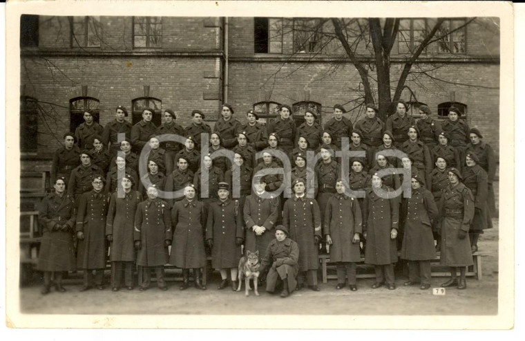 1920 ca FRANCE ARMEE DE TERRE Chasseurs avec leur chien-loup Photo carte postale