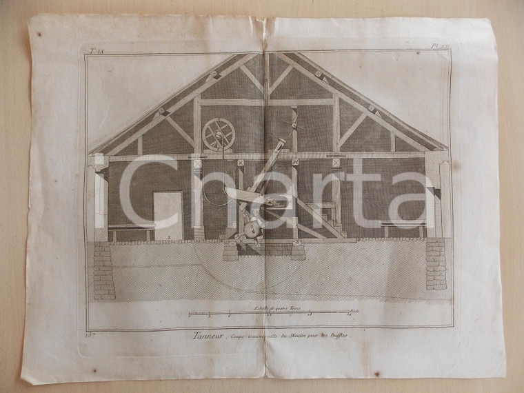 1830 FRANCE TANNEUR Coupe moulin pour les buffles *Gravure ENCYCLOPEDIE 50x40 cm