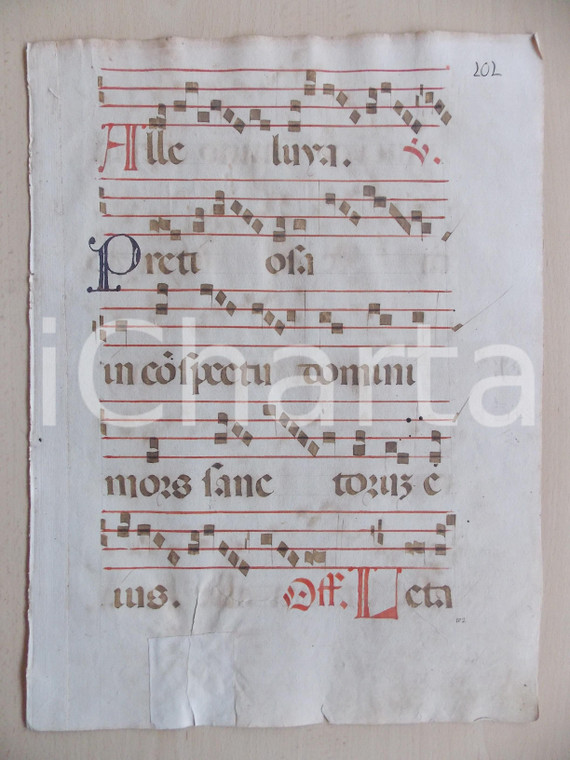 1600 ca ANTIFONARIO ROMANO Pagina manoscritta canti rosso nero Salmo PRETIOSA