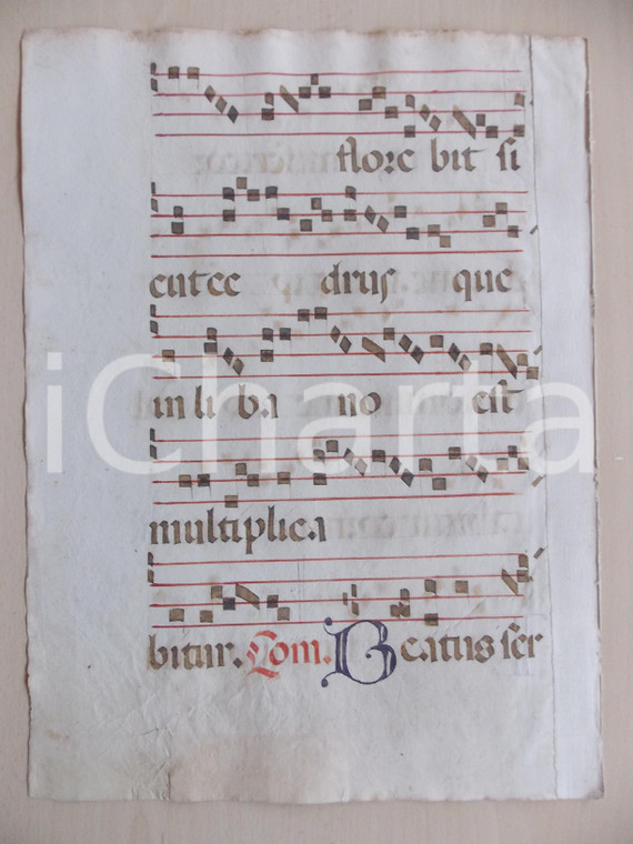 1600 ca ANTIFONARIO ROMANO Pagina manoscritta canti rosso nero Salmo BEATUS