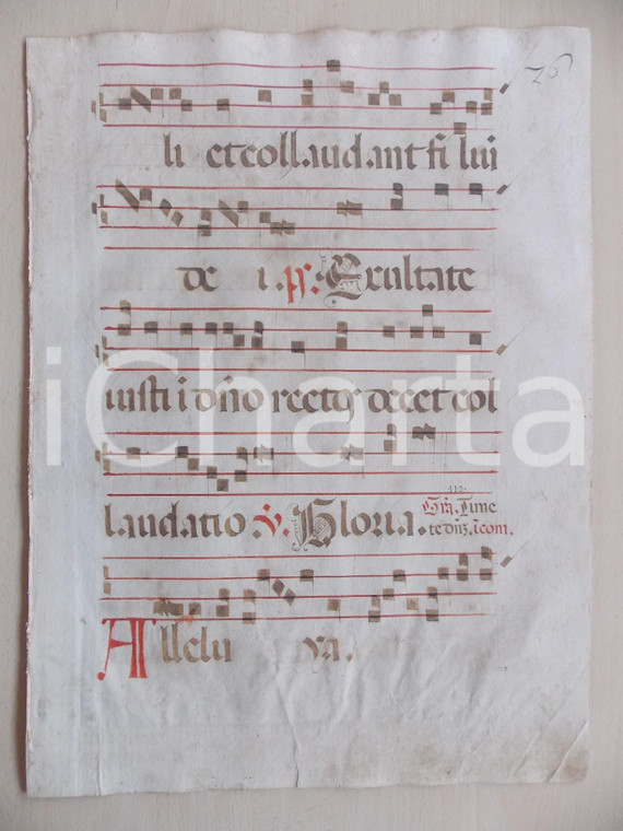 1600 ca ANTIFONARIO ROMANO Pagina manoscritta canti rosso nero Salmo EXULTATE