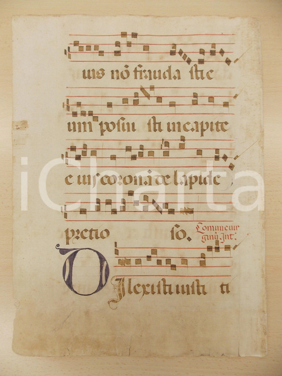 1600 ca ANTIFONARIO ROMANO Pagina manoscritta canti rosso nero Salmo DILEXISTI