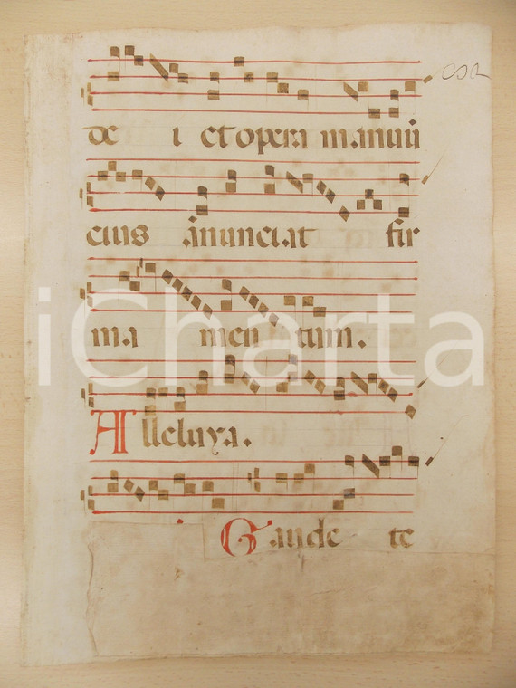 1600 ca ANTIFONARIO ROMANO Pagina manoscritta canti rosso nero Salmo GAUDETE