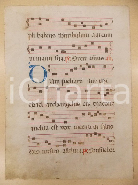 1600 ca ANTIFONARIO ROMANO Pergamena manoscritta rosso nero blu DUM PRELIARETUR