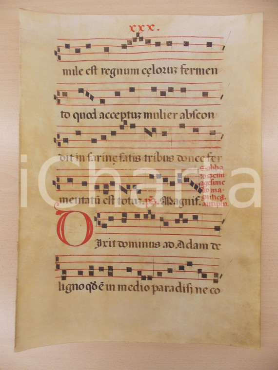 1600 ca ANTIFONARIO ROMANO Pergamena manoscritta rosso nero Salmo DIXIT DOMINUS