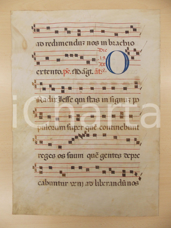 1600 ca ANTIFONARIO ROMANO Pergamena manoscritta rosso nero blu O RADIX IESSE