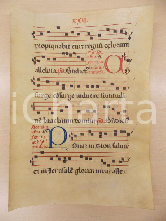 1600 ca ANTIFONARIO ROMANO Pergamena manoscritta rosso nero blu Salmo CONSURGE