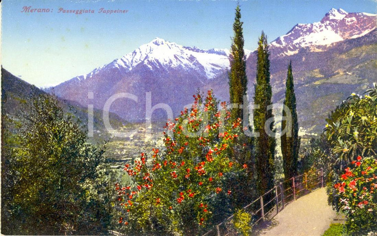 1935 ca MERANO (BZ) Passeggiata TAPPEINER con panorama vallata *Cartolina FP NV