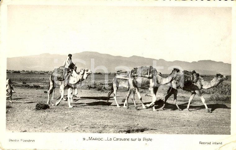 1960 MAROC La caravane sur la piste dans le désert *Cartolina ANIMATA FP VG