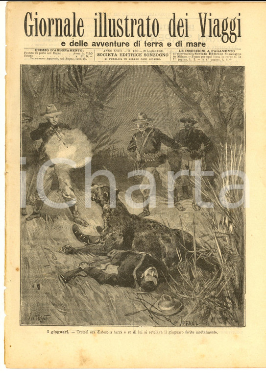 1899 GIORNALE ILLUSTRATO DEI VIAGGI I giaguari *Ill. TOFANI n° 160