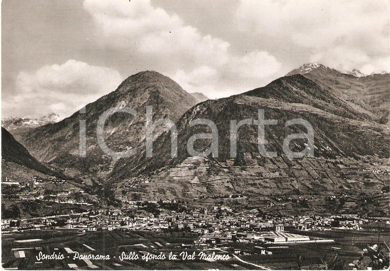 1960 ca SONDRIO Panorama con VAL MALENCO *Cartolina FG NV